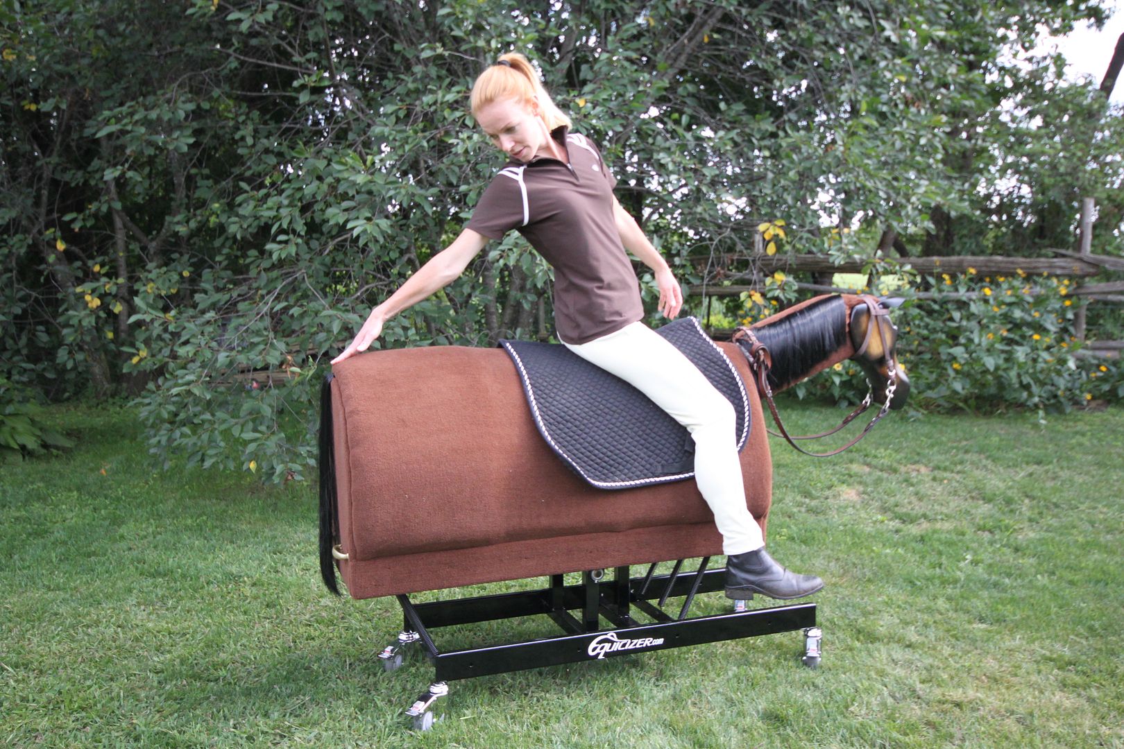 Equicizer Equestrian Exercises Equicizer